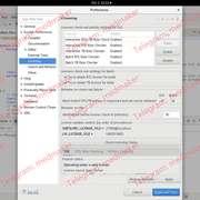 Synopsys Euclide 2025 06 Linux
