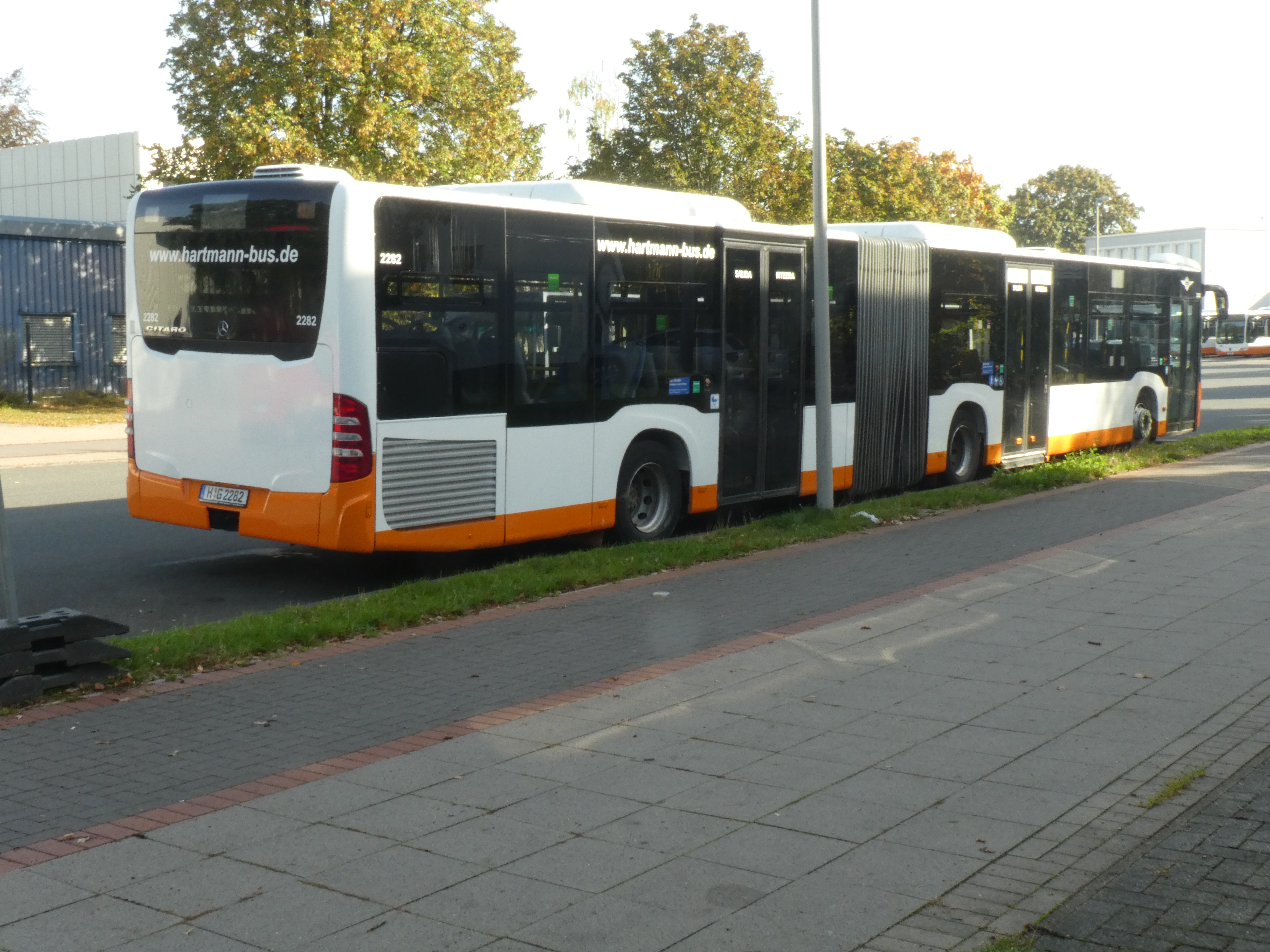 i.ibb.co/s9sP9rHw/Hartmann-2282-13.jpg