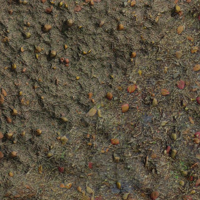 fallforestgrass01.jpg