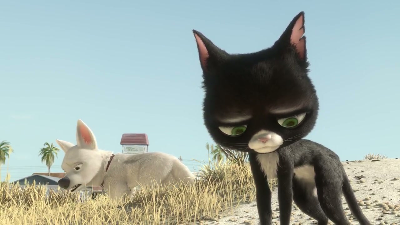 Bolt Screenshot