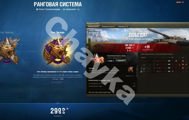 2895.jpg