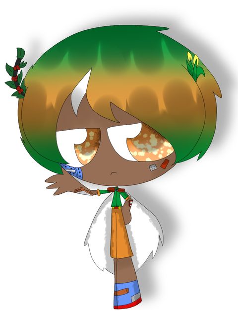 Camboriú
