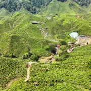 Cameron Valley18