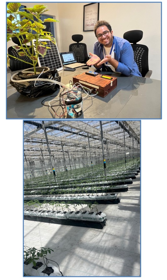 Smart Agriculture, Greenhouses & Aquaponics Systems — Qatar