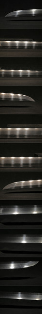 DSC7270.jpg