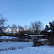 DSC09816