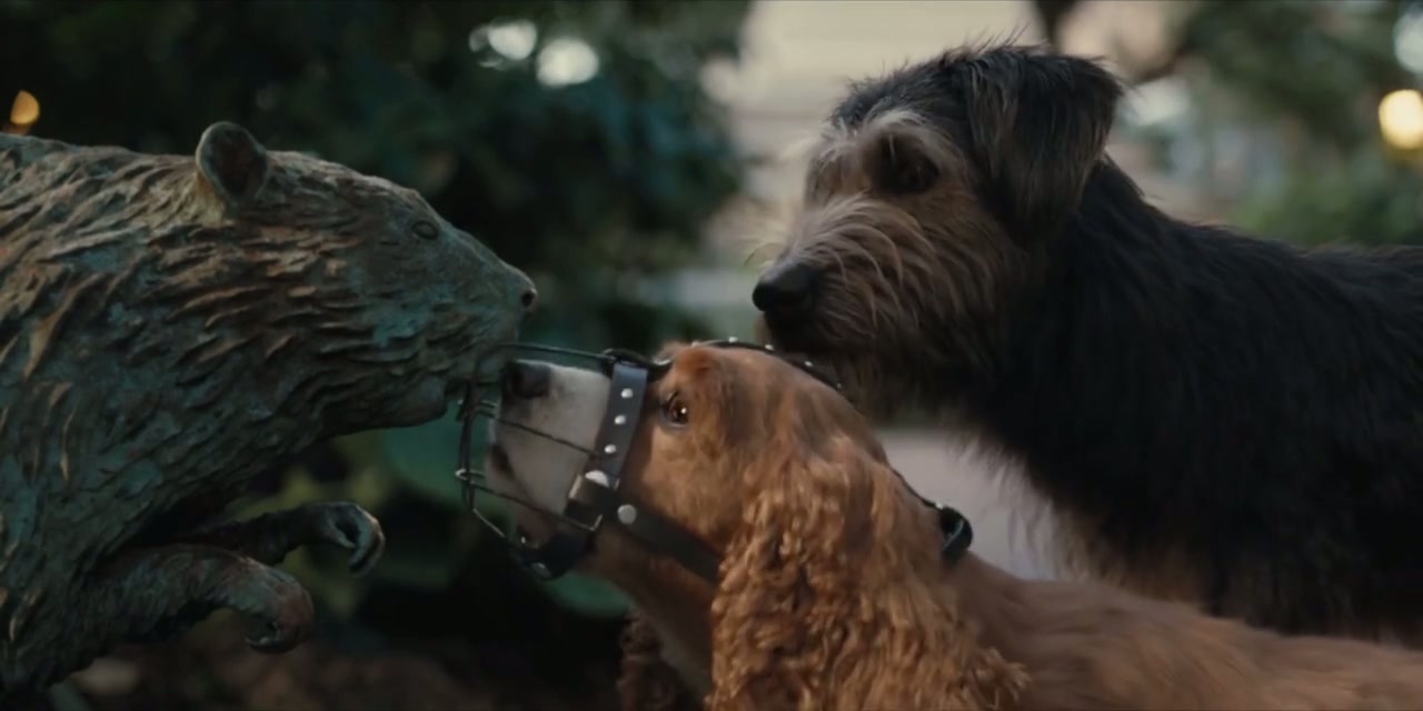 Lady and the Tramp Screenshot