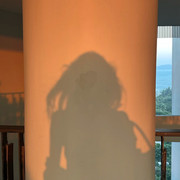 IMG 6991