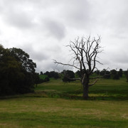 DSCF7609