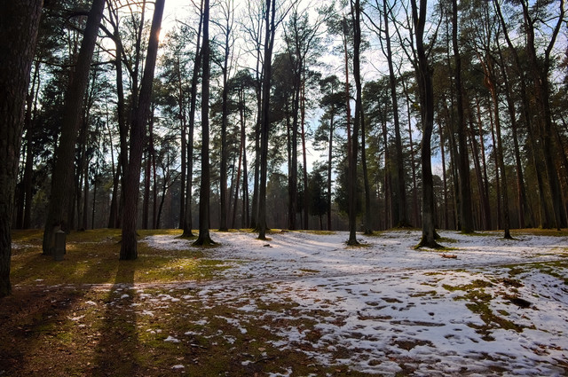DSCF6265.jpg