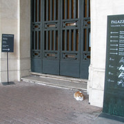 IMG-0407