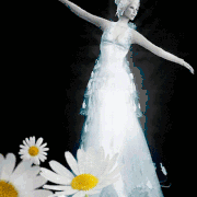 5.gif