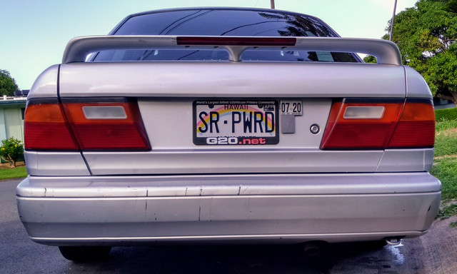 P10t-Rear.jpg