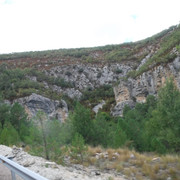 DSCF6297