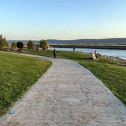 IMG-2554