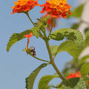 IMG-8551