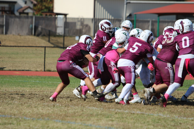 IMG-8198