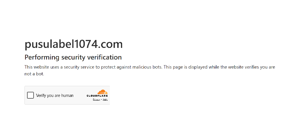 Screenshot of pusulabel1074.com