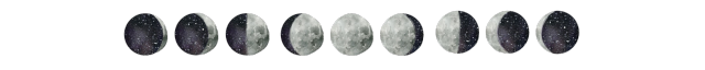 IMG 3907.png
