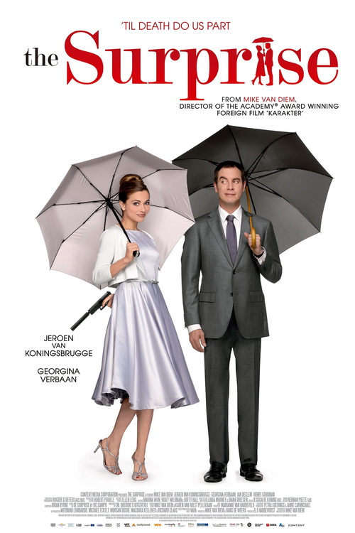 Niespodzianka / De Surprise (2015) PL.1080p.BRRip.H264-BP007 / Lektor PL