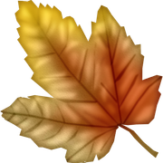 Autumn-Gold-1-181