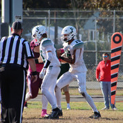 IMG-4476