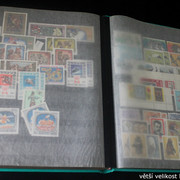 IMG-3263