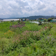 IMG-20230613-131013