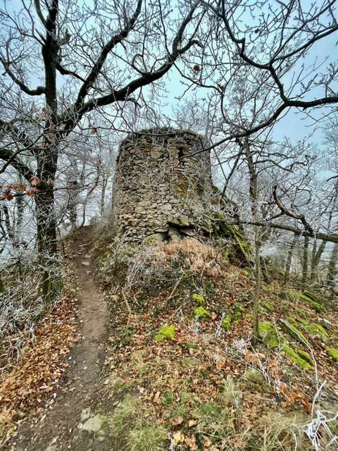 IMG-0910.jpg