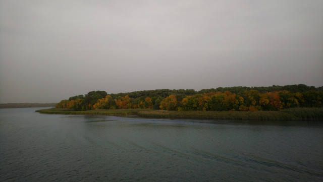 DSC-8653.jpg