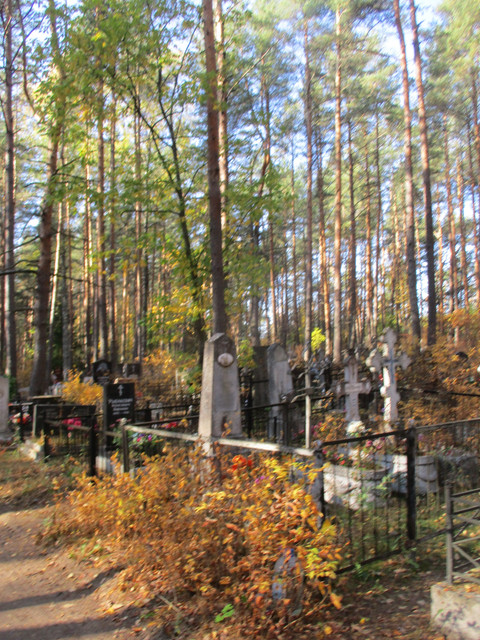 IMG-5469