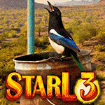 Starl3150