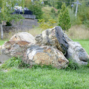 DSC7141