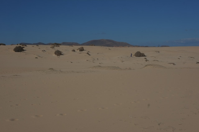 DSCF8572.jpg