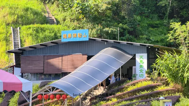 天马道场4.webp