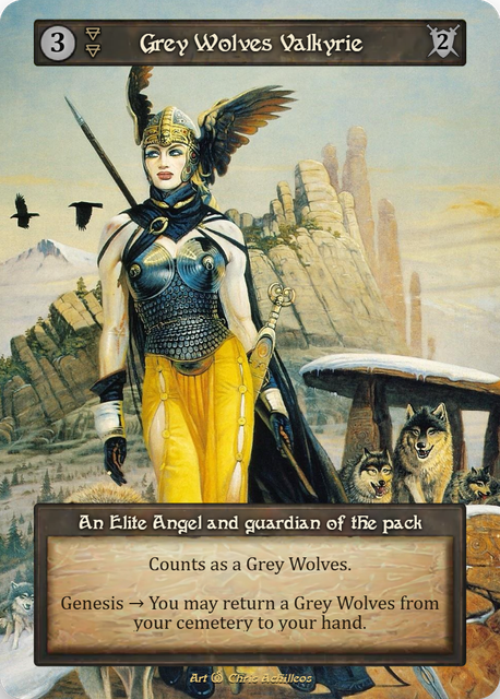 Grey Wolves Valkyrie