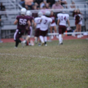 IMG-7382