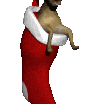 noel-056