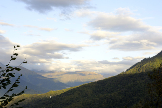 DSC7122.jpg