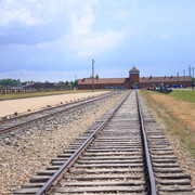 IMG-5874