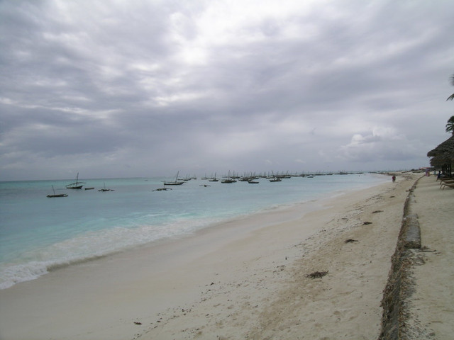 DSCN4780.jpg