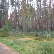 IMG-9650