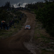 DSC02526