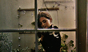 https://i.ibb.co/sHkJJmW/2.gif