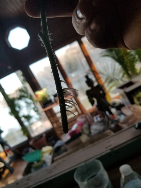 20180321 191237