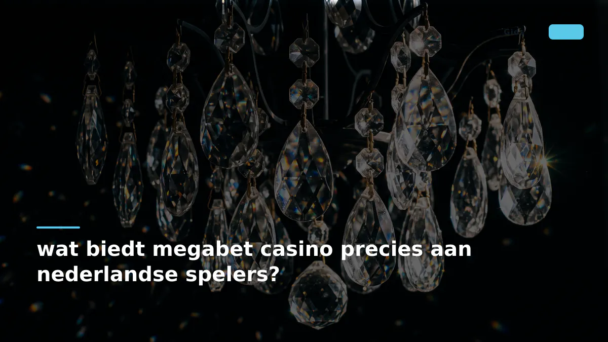 wat biedt megabet casino precies aan nederlandse spelers?