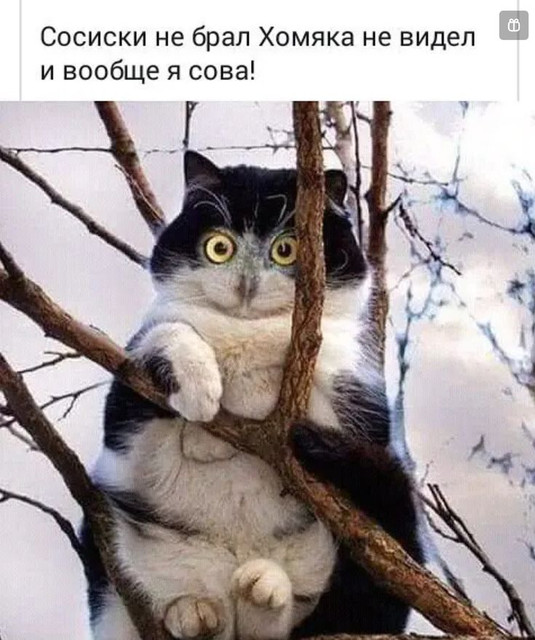 da50aa890363467ff32ccf8490014ddb