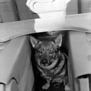 Scan-131108-0021
