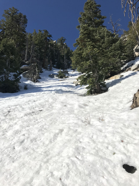 IMG 0684