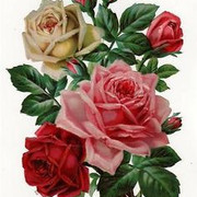 7fe41eb41353685d2000ae99d7ca41e9